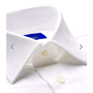 David Donahue Oxford Shirt